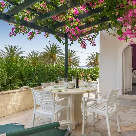 Apartment Bougainvillea House In Crete *