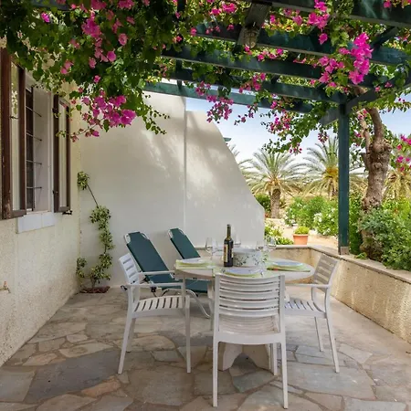 Bougainvillea House In Crete * Sitia (Crete)