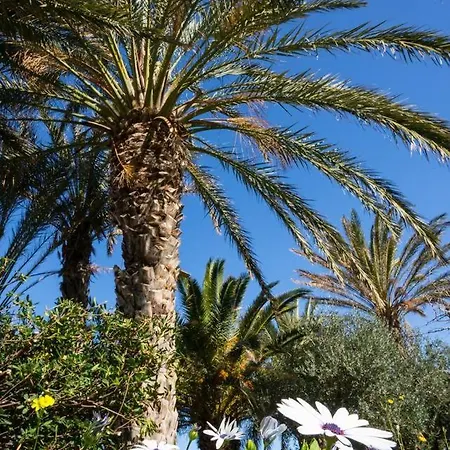 Bougainvillea House In Crete * Sitia (Crete)
